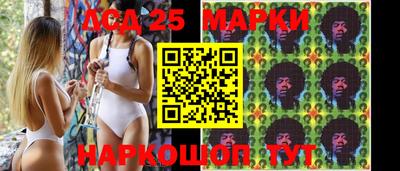 2c-b Камышлов